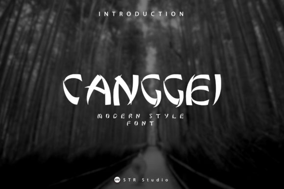 Canggei Display Font: A Designer’s Review for Campaign Design