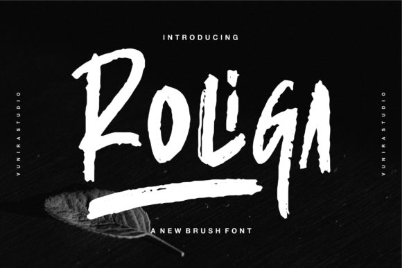 Roliga: A Bold Display Font for Polished Business Branding